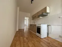 Pronájem bytu 1+1, Praha - Žižkov, Hájkova, 41 m2