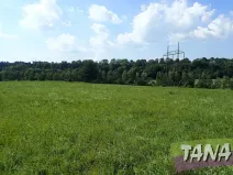 Prodej louky, Hodkovice nad Mohelkou, 49051 m2