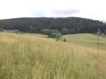 Dražba pole, Staré Buky, 10957 m2
