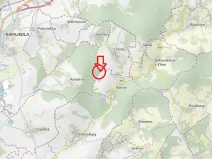 Prodej podílu lesa, Šarovy, 2437 m2