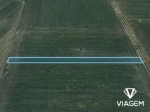Prodej pole, Velké Bílovice, 2600 m2