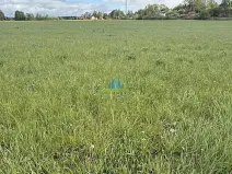 Prodej pole, Františkovy Lázně - Horní Lomany, Americká, 584 m2