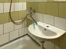 Prodej bytu 1+1, Plesná, Světlá, 35 m2