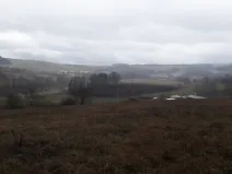 Prodej pole, Teplice nad Metují - Dolní Teplice, 25028 m2