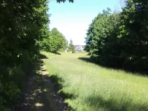 Prodej pozemku, Staré Křečany, 1188 m2