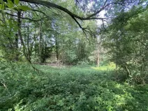 Prodej pozemku, Nové Hrady - Nakolice, 974 m2