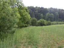 Prodej pozemku, Pohledy - Horní Hynčina, 1135 m2