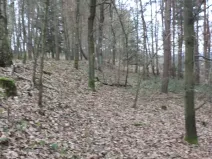 Prodej lesa, Křečovice - Nahoruby, 28299 m2