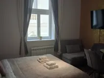 Pronájem bytu 1+kk, Praha - Nové Město, Petrská, 25 m2