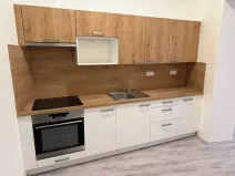 Pronájem bytu 1+1, Liberec, Pražská, 42 m2