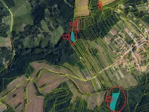 Prodej lesa, Hlína, 7201 m2