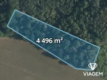 Prodej lesa, Sudovo Hlavno, 4496 m2