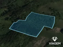 Prodej lesa, Vsetín, Rokytnice, 13331 m2