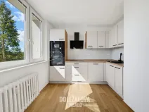 Pronájem bytu 1+1, Jihlava, Královský vršek, 32 m2