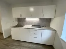 Pronájem bytu 1+kk, Brno - Maloměřice, Hády, 18 m2