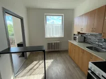 Pronájem bytu 1+1, Doudleby nad Orlicí, U Bažantnice, 42 m2