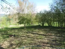 Dražba pole, Křemže, 2210 m2