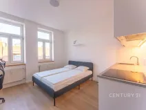 Pronájem bytu 1+kk, Praha - Vinohrady, Perunova, 22 m2