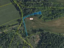 Dražba lesa, Volfířov, 536 m2