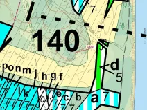 Dražba lesa, Přerov, 1000 m2