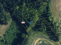 Dražba lesa, Přerov, 58 m2