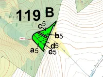 Dražba lesa, Přerov, 1071 m2