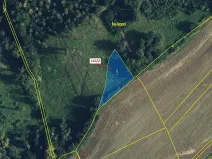 Dražba lesa, Přerov, 1576 m2