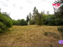 Prodej chaty, Družec, 21 m2