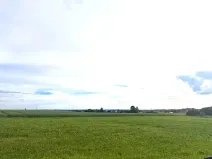 Prodej pole, Holice, 2325 m2