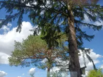 Prodej chaty, Zlín, 78 m2