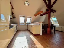 Pronájem bytu 4+kk, Brno, Tichého, 120 m2