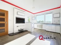 Prodej bytu 1+kk, Praha - Chodov, Ledvinova, 30 m2
