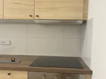 Prodej bytu 1+1, Praha - Libeň, U libeňského pivovaru, 48 m2