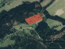 Prodej louky, Branná, 14935 m2