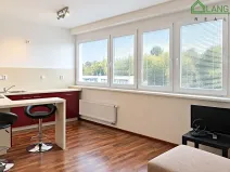Pronájem bytu 1+kk, Brno, Vídeňská, 28 m2