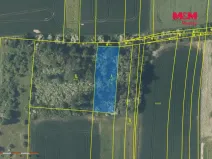 Prodej lesa, Nové Strašecí, 5970 m2
