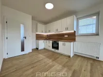 Pronájem bytu 1+kk, Malhostovice, 40 m2