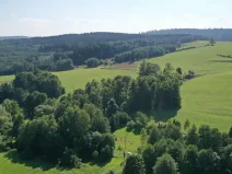 Prodej louky, Bernartice, 49501 m2