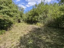 Prodej zahrady, Brno, Zaječí hora, 470 m2