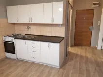 Prodej bytu 1+1, Ostrava - Moravská Ostrava, Lechowiczova, 35 m2