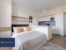 Pronájem bytu 1+kk, Praha - Vinohrady, Sázavská, 29 m2