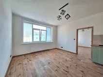 Pronájem bytu 2+kk, Praha - Břevnov, Bělohorská, 50 m2