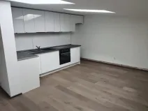 Pronájem bytu 3+kk, Olomouc, tř. Svornosti, 42 m2