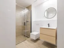 Prodej bytu 1+kk, České Budějovice, U Branišovského lesa, 46 m2