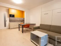 Pronájem bytu 1+kk, Praha - Žižkov, Hartigova, 36 m2