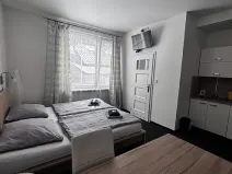 Pronájem bytu 1+kk, Ostrava, Zalužanského, 25 m2