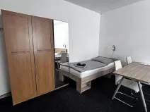 Pronájem bytu 1+kk, Ostrava, Zalužanského, 25 m2
