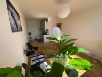 Prodej bytu 2+kk, Praha - Braník, Novodvorská, 43 m2