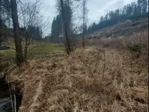 Prodej lesa, Dolní Hořice, 4440 m2