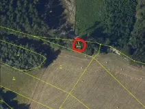 Prodej lesa, Ždírec nad Doubravou, 900 m2